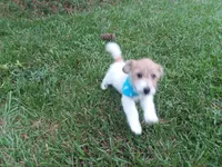 processed/95d107e2-fdb1-4c46-9886-f76cdfe8917b/facility/590008f6-ec5d-4004-ada6-83f2f3b28401