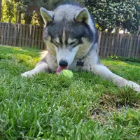 processed/95d107e2-fdb1-4c46-9886-f76cdfe8917b/facility/7bee965b-309a-4420-812c-724a7623c207