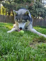 processed/95d107e2-fdb1-4c46-9886-f76cdfe8917b/facility/7bee965b-309a-4420-812c-724a7623c207