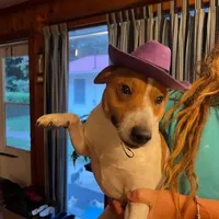 processed/95d107e2-fdb1-4c46-9886-f76cdfe8917b/facility/d2ee686c-3244-4e95-9af3-a76b74b29509