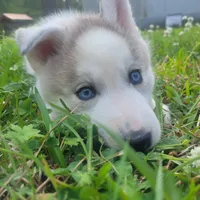 processed/95d107e2-fdb1-4c46-9886-f76cdfe8917b/facility/d79ba910-72c4-409e-84b9-7b967d66f401