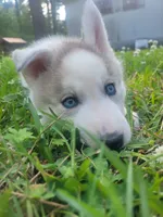 processed/95d107e2-fdb1-4c46-9886-f76cdfe8917b/facility/d79ba910-72c4-409e-84b9-7b967d66f401