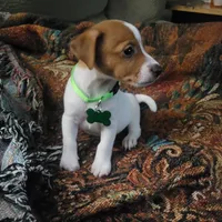 processed/95d107e2-fdb1-4c46-9886-f76cdfe8917b/facility/fd488470-5608-4599-8ff2-976d9ddbe39d