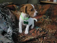 processed/95d107e2-fdb1-4c46-9886-f76cdfe8917b/facility/fd488470-5608-4599-8ff2-976d9ddbe39d