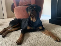 processed/95d1fda5-7b96-46f4-af64-d57d3a30b600/facility/007bfa18-0891-4a5d-b64c-2faaa2033ed0