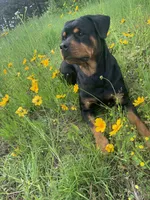 processed/95d1fda5-7b96-46f4-af64-d57d3a30b600/facility/71ce4ddd-56f8-4b22-9b56-db24f3c850f7