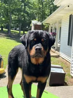 processed/95d1fda5-7b96-46f4-af64-d57d3a30b600/facility/f9d47dba-587f-4460-b95f-1e1afd7a35d0