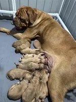 processed/95d71d48-2b4f-4ad5-ac6e-fbdf5f646865/facility/536c5f6e-e40b-4d8b-84a7-fcba5131ea44