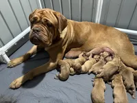 processed/95d71d48-2b4f-4ad5-ac6e-fbdf5f646865/facility/5ac78002-706f-45b7-835c-417ce4543896