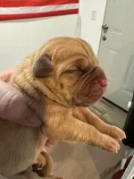 processed/95d71d48-2b4f-4ad5-ac6e-fbdf5f646865/facility/971492d6-1288-4479-a47c-bb2f10bc4b70