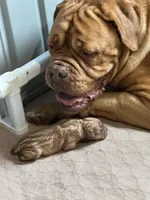 processed/95d71d48-2b4f-4ad5-ac6e-fbdf5f646865/facility/b6f7280f-95ba-47be-b31e-702c1f072e07