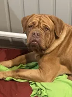 processed/95d71d48-2b4f-4ad5-ac6e-fbdf5f646865/facility/c26d6e7f-6c1f-4465-b684-7940d1f78d1c