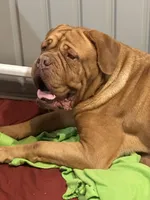 processed/95d71d48-2b4f-4ad5-ac6e-fbdf5f646865/facility/ca9c6ded-ca68-4489-8078-10abbc5c1a0d