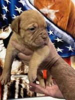 processed/95d71d48-2b4f-4ad5-ac6e-fbdf5f646865/facility/e99995ca-1ed2-4d95-b7c8-f8f7ae34f015