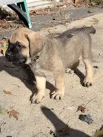 processed/95da7924-4003-42df-97e9-f18dd2dfb5ee/listing/1f30a2aa-628a-449f-89e9-1dd1a4fd5aa0/0f72e3e5-618c-451b-b0c4-facc4c452f33