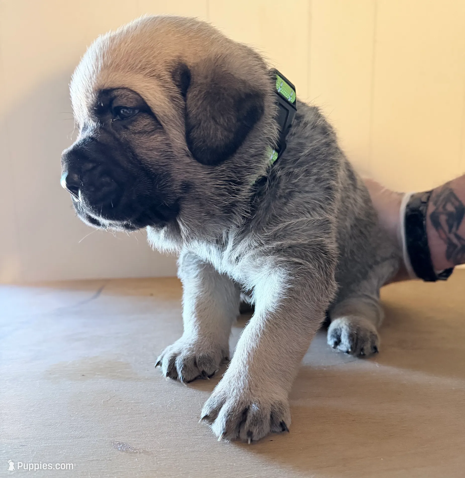 processed/95da7924-4003-42df-97e9-f18dd2dfb5ee/listing/1f30a2aa-628a-449f-89e9-1dd1a4fd5aa0/68681620-aa8d-4cf8-afec-775ef26f0bce