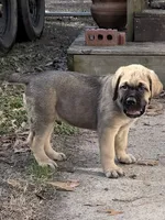 processed/95da7924-4003-42df-97e9-f18dd2dfb5ee/listing/1f30a2aa-628a-449f-89e9-1dd1a4fd5aa0/86fb4e1a-4bf8-46e7-bd97-c06f78849379