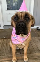 processed/95da7924-4003-42df-97e9-f18dd2dfb5ee/listing/1f30a2aa-628a-449f-89e9-1dd1a4fd5aa0/96561bf1-9721-4bd2-abee-25e9cd4660be