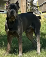 processed/95da7924-4003-42df-97e9-f18dd2dfb5ee/listing/1f30a2aa-628a-449f-89e9-1dd1a4fd5aa0/9967ca72-99a9-47c2-8c31-cb23d16055ce