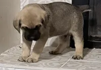 processed/95da7924-4003-42df-97e9-f18dd2dfb5ee/listing/1f30a2aa-628a-449f-89e9-1dd1a4fd5aa0/b0f5d4df-8806-43c0-b3cf-6d19c014143d