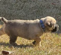 processed/95da7924-4003-42df-97e9-f18dd2dfb5ee/listing/287a7da9-5573-4a69-ba03-0ba0797f8e08/1fd4d19f-f04d-46b8-9b72-a61ce3029e10