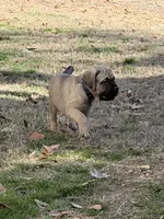 processed/95da7924-4003-42df-97e9-f18dd2dfb5ee/listing/287a7da9-5573-4a69-ba03-0ba0797f8e08/68f6d070-6f36-4826-a947-269611999be2