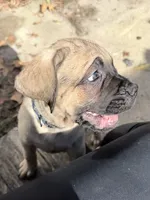 processed/95da7924-4003-42df-97e9-f18dd2dfb5ee/listing/287a7da9-5573-4a69-ba03-0ba0797f8e08/72d35ecd-eb14-4ec7-babe-6b1c012a89d1