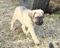 processed/95da7924-4003-42df-97e9-f18dd2dfb5ee/listing/287a7da9-5573-4a69-ba03-0ba0797f8e08/a9ef3466-9635-4cb9-b490-41e44f1afc68