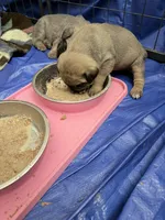 processed/95da7924-4003-42df-97e9-f18dd2dfb5ee/listing/7f30962e-55aa-4257-a1e8-304511508628/02a4fb7f-e18f-4bff-afb6-b2432e9144aa