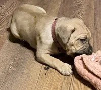 processed/95da7924-4003-42df-97e9-f18dd2dfb5ee/listing/7f30962e-55aa-4257-a1e8-304511508628/2170512c-08b1-4851-a799-49c4ba0a4ee4