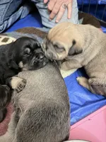 processed/95da7924-4003-42df-97e9-f18dd2dfb5ee/listing/7f30962e-55aa-4257-a1e8-304511508628/4bca04c4-4594-4a9c-99ef-dd39331f7a9d