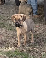 processed/95da7924-4003-42df-97e9-f18dd2dfb5ee/listing/7f30962e-55aa-4257-a1e8-304511508628/4e77c0ec-2d72-43c7-a729-cc22a2404f71