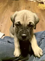 processed/95da7924-4003-42df-97e9-f18dd2dfb5ee/listing/7f30962e-55aa-4257-a1e8-304511508628/d6fb10ae-fa83-4064-ad0c-abcfc1151ab8