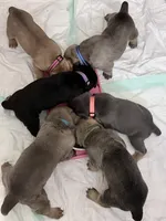 processed/95da7924-4003-42df-97e9-f18dd2dfb5ee/listing/af8da369-d04a-459a-b28c-135f60ca8756/9eb57d77-092b-481e-881b-be861bca7353