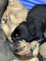 processed/95da7924-4003-42df-97e9-f18dd2dfb5ee/listing/af8da369-d04a-459a-b28c-135f60ca8756/c239ec39-8100-4df9-b10a-2710abe50fc7