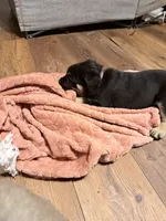 processed/95da7924-4003-42df-97e9-f18dd2dfb5ee/listing/af8da369-d04a-459a-b28c-135f60ca8756/ef62ed71-a978-45b9-aab1-d5555505f208