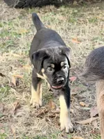 processed/95da7924-4003-42df-97e9-f18dd2dfb5ee/listing/af8da369-d04a-459a-b28c-135f60ca8756/f6680ca6-a29a-45b9-9a12-772744390d9a