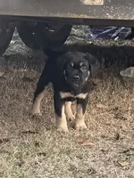 processed/95da7924-4003-42df-97e9-f18dd2dfb5ee/listing/af8da369-d04a-459a-b28c-135f60ca8756/f6e21f3b-de47-4565-a5ce-72634040b16e