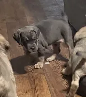 processed/95da7924-4003-42df-97e9-f18dd2dfb5ee/listing/c29ad1ff-5e1b-49e4-8d90-6fe33f573cd6/13101a0c-3692-4987-ba42-9deb2d15782f