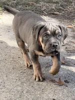 processed/95da7924-4003-42df-97e9-f18dd2dfb5ee/listing/c29ad1ff-5e1b-49e4-8d90-6fe33f573cd6/af2c3794-c0ef-4165-8f04-783c4ae4f5d7