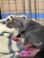 processed/95da7924-4003-42df-97e9-f18dd2dfb5ee/listing/c29ad1ff-5e1b-49e4-8d90-6fe33f573cd6/b4dc6959-9d68-4953-bcb4-23b237a62e5f