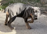 processed/95da7924-4003-42df-97e9-f18dd2dfb5ee/listing/c29ad1ff-5e1b-49e4-8d90-6fe33f573cd6/c6e69f51-39be-4f61-9aad-565a227ccbe2