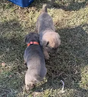 processed/95da7924-4003-42df-97e9-f18dd2dfb5ee/listing/c29ad1ff-5e1b-49e4-8d90-6fe33f573cd6/e2d1a929-2723-4d06-b45f-d390397ac799