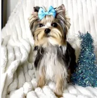 processed/95e27131-7faf-496c-b83c-3339fc1e2d0d/listing/84b53e97-932e-4934-9c8e-2af62f113a84/968e797b-9da7-4a47-bad5-f256cd96608d