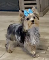 processed/95e27131-7faf-496c-b83c-3339fc1e2d0d/listing/84b53e97-932e-4934-9c8e-2af62f113a84/e92a3411-940e-4f1a-b531-4ab82d219077