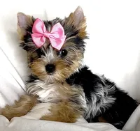 processed/95e27131-7faf-496c-b83c-3339fc1e2d0d/listing/84b53e97-932e-4934-9c8e-2af62f113a84/ef2162c5-5c1f-429b-bce4-6215463c5bec