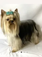 processed/95e27131-7faf-496c-b83c-3339fc1e2d0d/listing/b9eca44a-6af4-4a0c-b0d2-4abf3cb4d342/a398e92c-ffb9-4b2d-9789-87373b6fbb9a