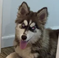 processed/95e27131-7faf-496c-b83c-3339fc1e2d0d/listing/c3a7da51-c0b9-4b1e-a186-606de02fa6d0/1630718e-e4a1-472f-ade4-85b9ab23763a