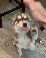 processed/95e27131-7faf-496c-b83c-3339fc1e2d0d/listing/c3a7da51-c0b9-4b1e-a186-606de02fa6d0/4b33ecd2-630f-41ef-90d1-59a481ae0827