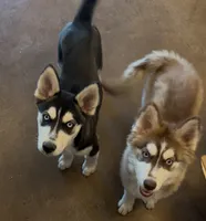 processed/95e27131-7faf-496c-b83c-3339fc1e2d0d/listing/c3a7da51-c0b9-4b1e-a186-606de02fa6d0/623ad311-75ae-42fa-a9ca-ecd2cd6a837e